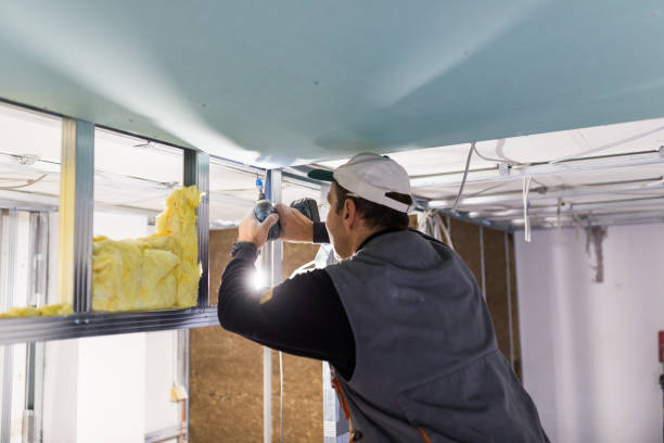 Best Insulation Maintenance and Repair in Third Lake, IL